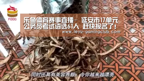乐鱼体育APP